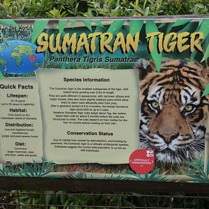 Sumatran Tiger signange