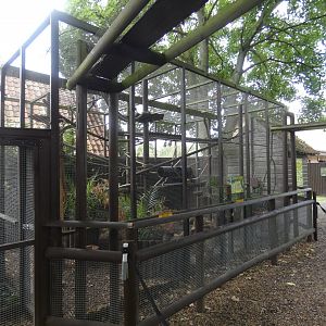 Genet outdoor enclosure