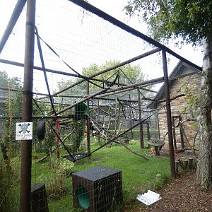 Buffy-headed Capuchin enclosure