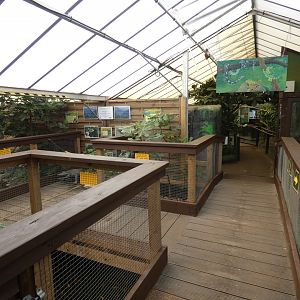 Caiman area of Tropical House
