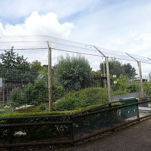 Sumatran Tiger enclosure