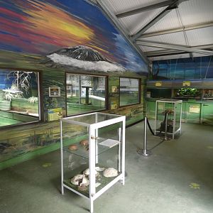 African Sands viewing area