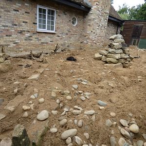 Aardvark and Cusimanse outdoor enclosure