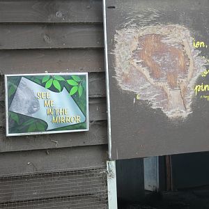 Crested Porcupine viewing signage
