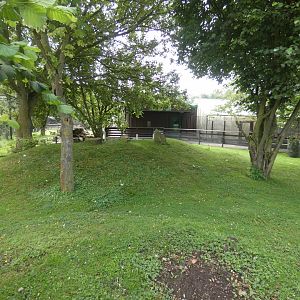 Capybara and Mara enclosure