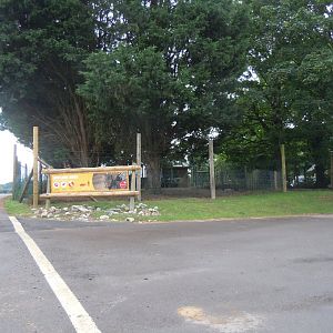 Lowland Anoa enclosure 130720