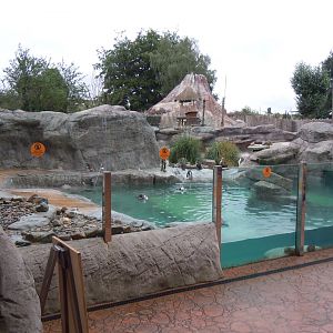 Penguin Cove 130720