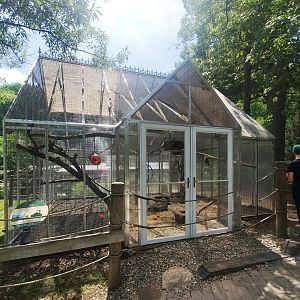 Jul. 2020 - Australian Adventure - Kea Exhibit