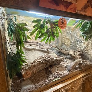 Reptile World - example vivarium 130720