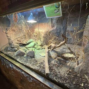 Reptile World - example vivarium 130720