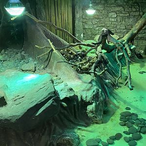 Reptile World - example vivarium 130720