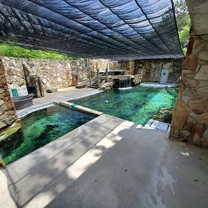 Jul. 2020 - Wilderness Trek - California Sea Lion Exhibit
