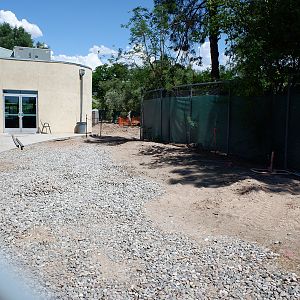 view to future flamingo