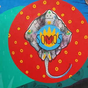 We Are All Stingrays