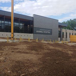 Construction Update #1: Animal Hospital