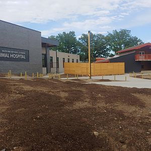Construction Update: Animal Hospital