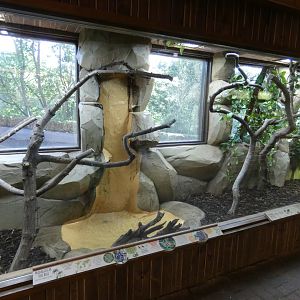 Madagacar Tree Boa and Radiated Tortoise enclosure