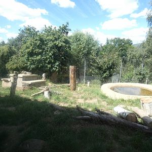 Grey Wolf enclosure