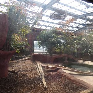 Komodo Dragon enclosure