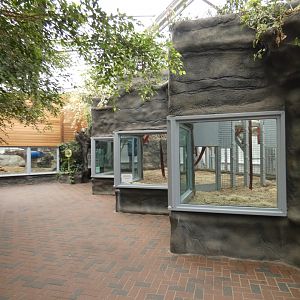 View in Chimpanzee Lookout