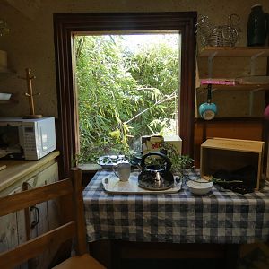 Domestic Rat enclosure