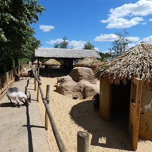 Goat walk-through enclosure