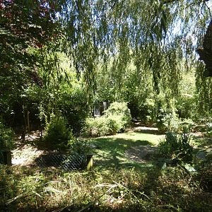 Stanley Crane and Blue Duiker enclosure