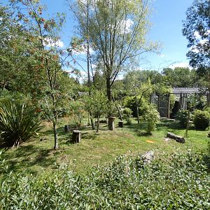 Crowned Crane and Kirk's Dik-Dik enclosure