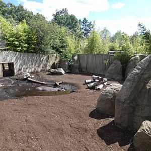 Pygmy Hippo outdoor enclosure