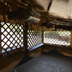 Visayan Warty Pig and Philippine Spotted Deer enclosure viewing area