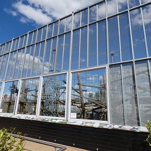 Upper Chimpanzee outdoor viewing area