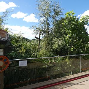 Red Panda enclosure