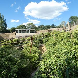 View of Lemur walk-through