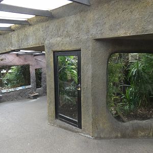 Tamarin indoors and Amur Leopard viewing area