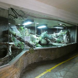 Green Anaconda enclosure