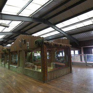 View of upper area of Kingdom of the Wild