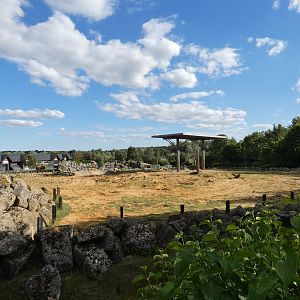 African Elephant enclosure