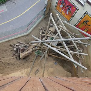 Aardvark and Rock Hyrax outdoor enclosures from above