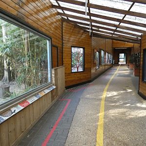 World of Wings viewing area