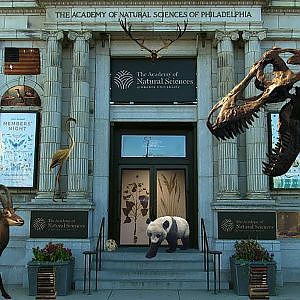 Academy of Natural Sciences 2017 - YouTube