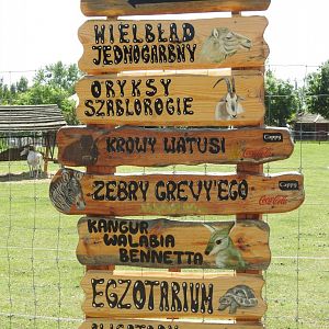 signposts