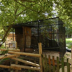 Blue-fronted Amazon aviary