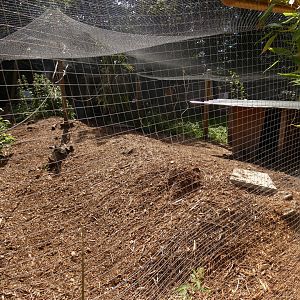 Parma Wallaby enclosure