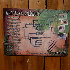 Aardwolf signage