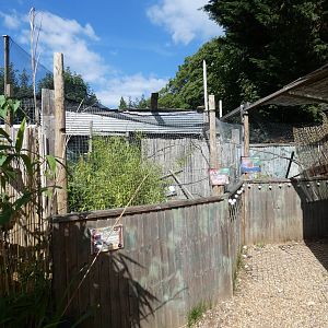 Marmoset and Tamarin enclosure