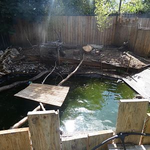 Asian Short-clawed Otter enclosure