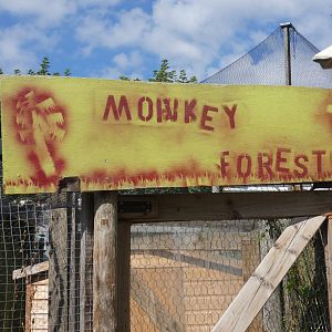 Monkey Forest signage