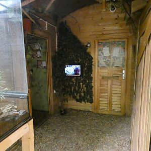 View of 'Fragile Forests'