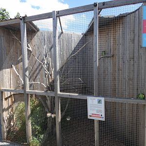 Amazon parrot aviary