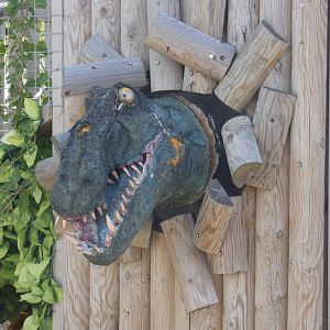 Dinosaur head